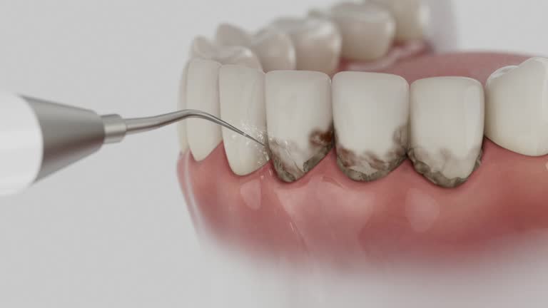 Reliable Dental contractor in Ridgecrest, FL by Dentist Open Now